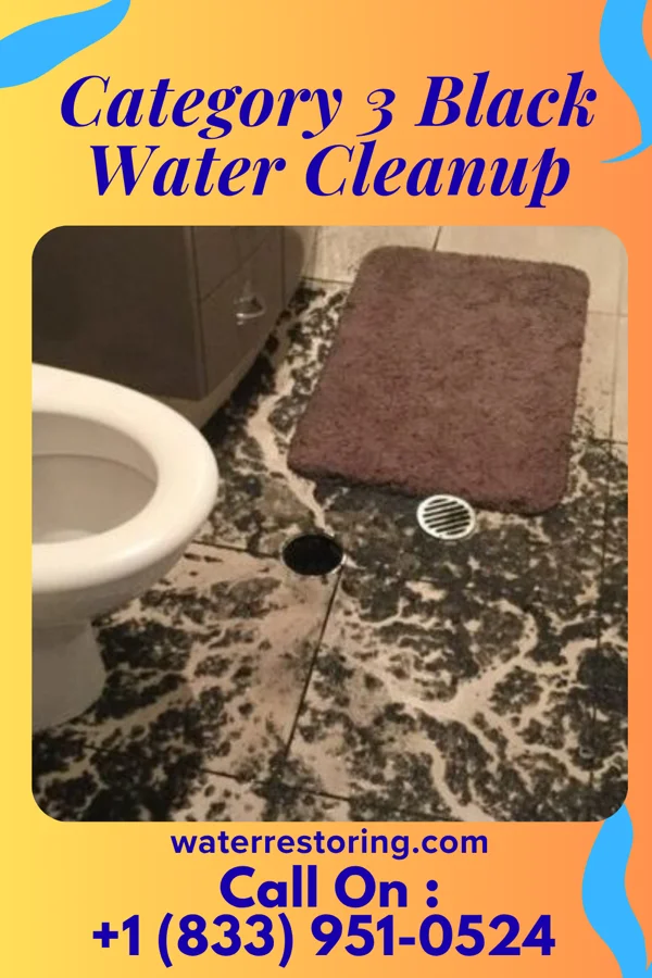 Category 3 Black Water Cleanup in Pittsboro, IN