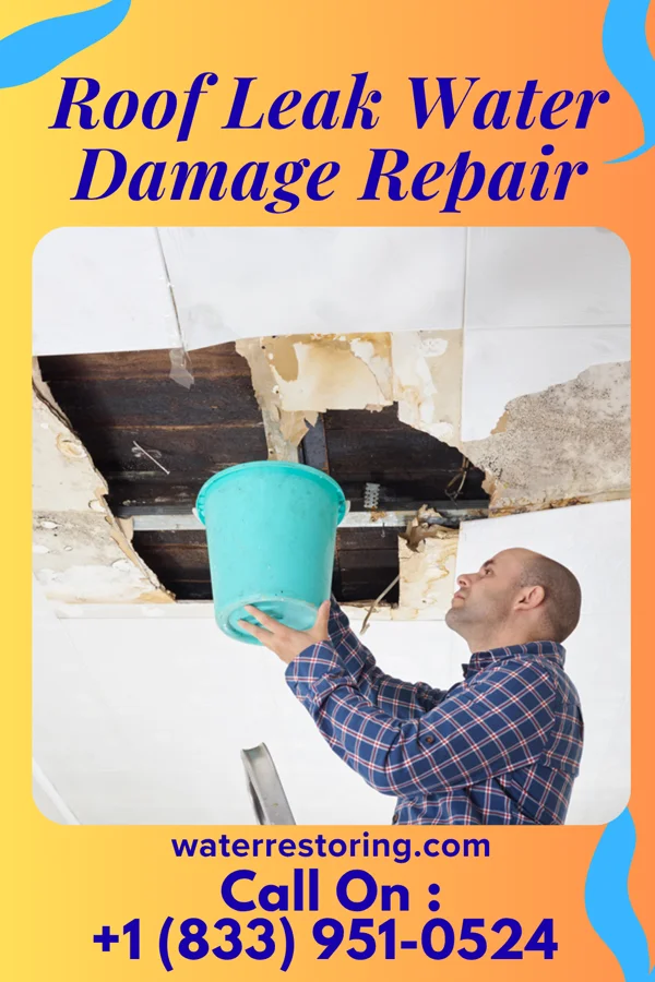 Roof Leak Water Damage Repair in Pittsboro, IN