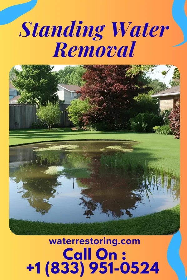 Standing Water Removal in Pittsboro, IN